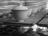 Celadon Mist Artisan Gaiwan